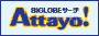 BIGLOBE Search